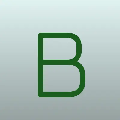 БэкСервис, лого-визитка