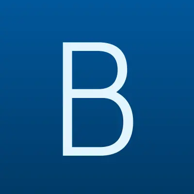 Born, компания, лого-визитка