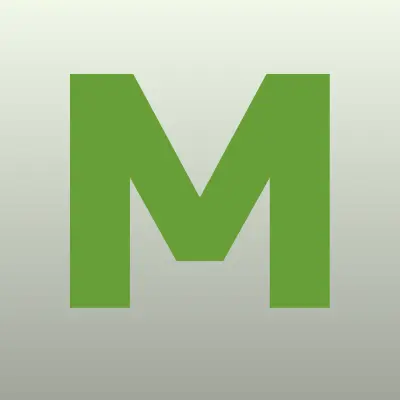 Межрайонная инспекция Федеральной налоговой службы России №13 по Московской области, лого-визитка