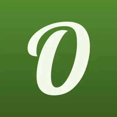 Okna King, компания, лого-визитка