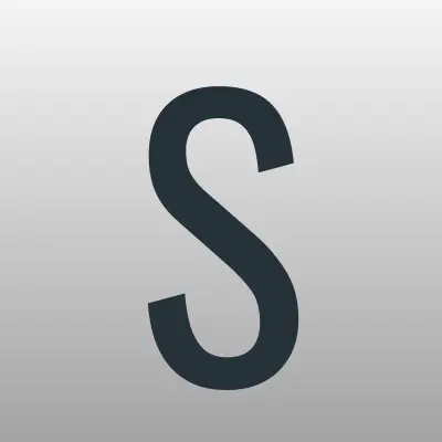 Service Standard, таможенный брокер, лого-визитка