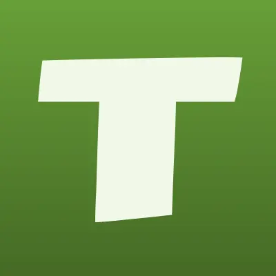 Трансберри, лого-визитка