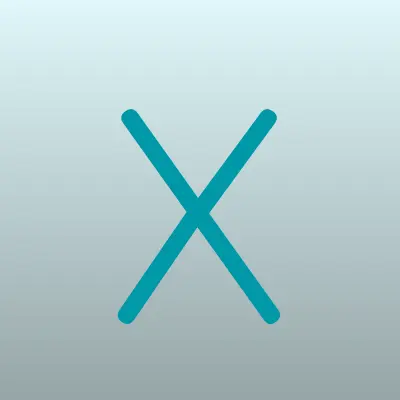 X-Store, сеть магазинов, лого-визитка