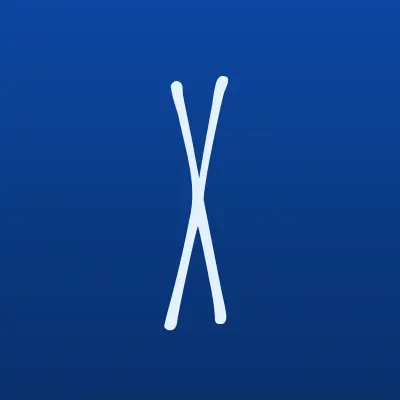 XV-MOTORS, интернет-магазин автозапчастей и автотоваров, лого-визитка